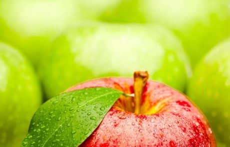 איזה  תפוח הכי בריא ?