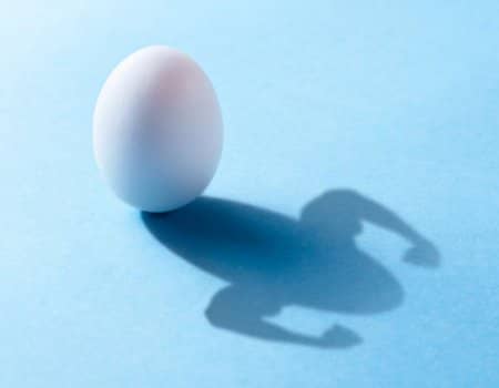 איך לבחור ולהכין ביצה בריאה ?