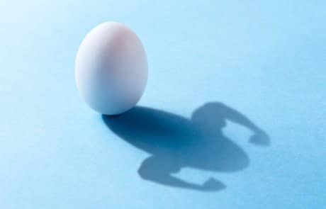 האם הכולסטרול בביצים מזיק לבריאות ?